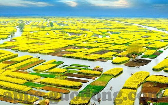 91麻豆精品国产大片免费看-开启国产影像新纪元，免费欣赏91麻豆精品国产大片