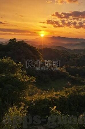 大象传媒8080-探索大象传媒8080，数字时代的文化桥梁
