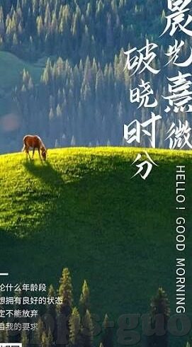 动漫伦理在线播放影视大全-动漫伦理，在线播放与影视大全的多元视角