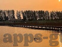 麻豆播放器app-麻豆播放器app的崛起与用户体验