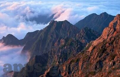 麻豆蜜桃传媒-麻豆蜜桃传媒——影视艺术的新风景