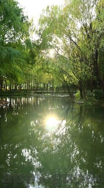 麻豆仁传媒app-麻豆仁传媒APP，助力内容创意与欣赏的全新平台
