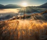 免费麻豆av在线天空传媒-自由之翼，探索另类内容的潜在危害