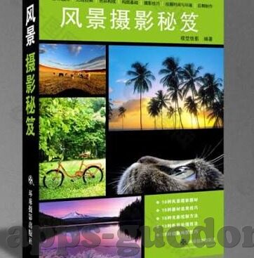 糖心app免费版安卓版-探索糖心app免费版安卓版，构建多元化娱乐体验的新风尚