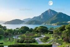 糖心app图片-探索糖心APP图片的独特魅力与影响