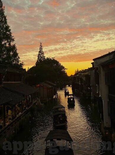 糖心vlog网址入口-邂邅甜蜜时光，探访糖心Vlog的趣味空间