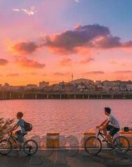 一区二区视频在线观看-一区二区视频在线观赏的多元视角与体验